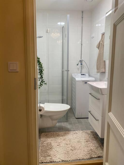 Enchanting 1br W/ King Bed In Unbeatable Location Helsinki
